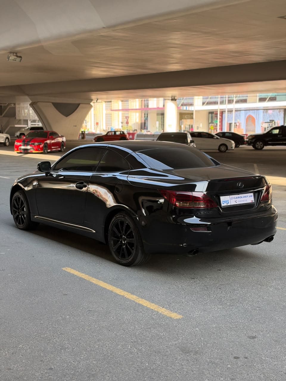 2010 Lexus IS300 Convertible for sale Dubai, Carology photo 7