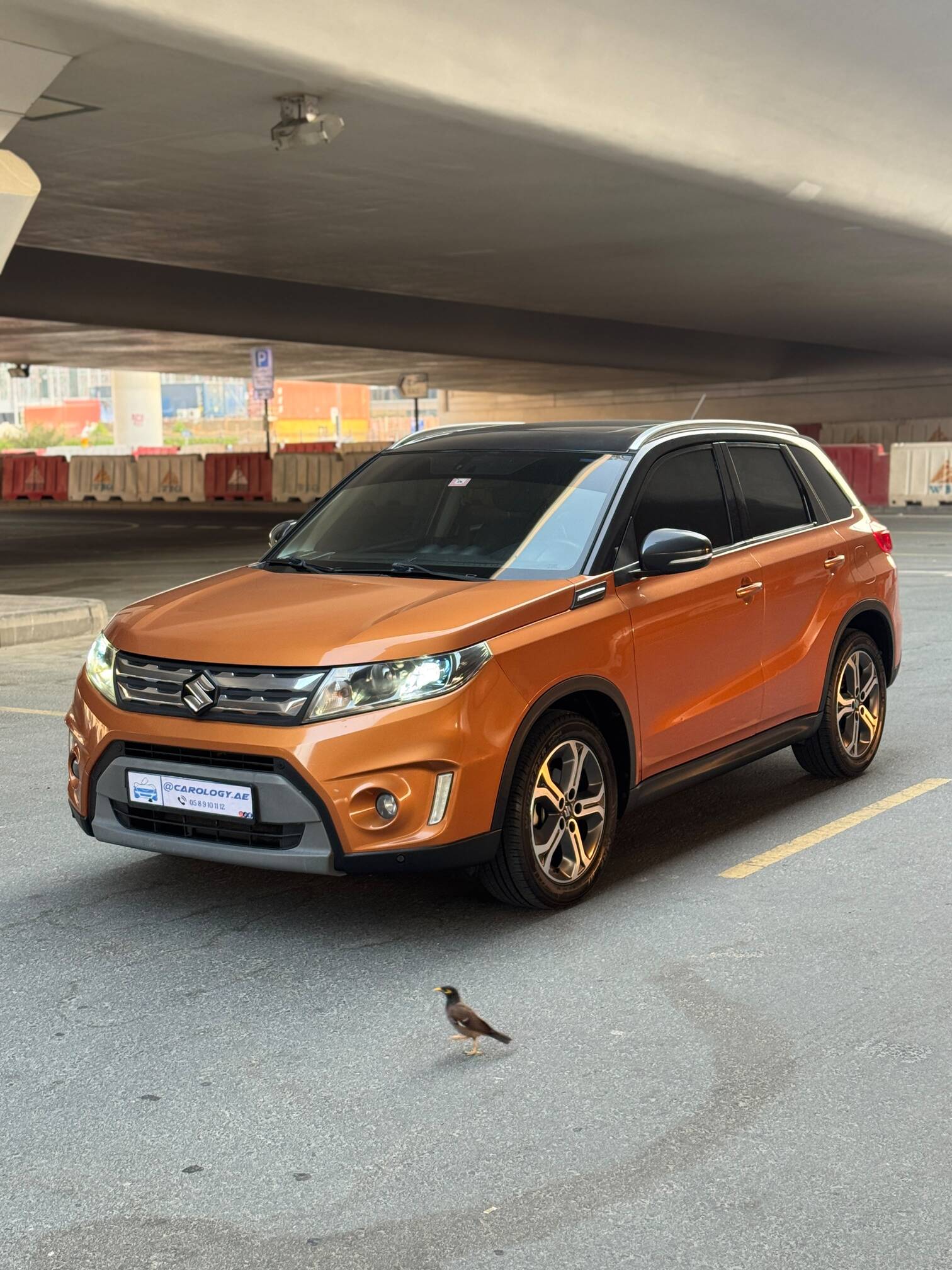 2017 Suzuki Vitara AllGrip